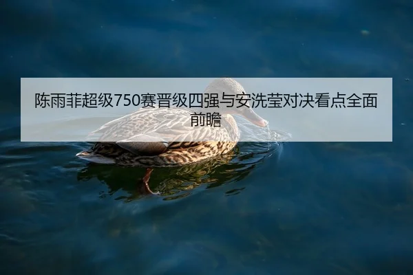 陈雨菲超级750赛晋级四强与安洗莹对决看点全面前瞻